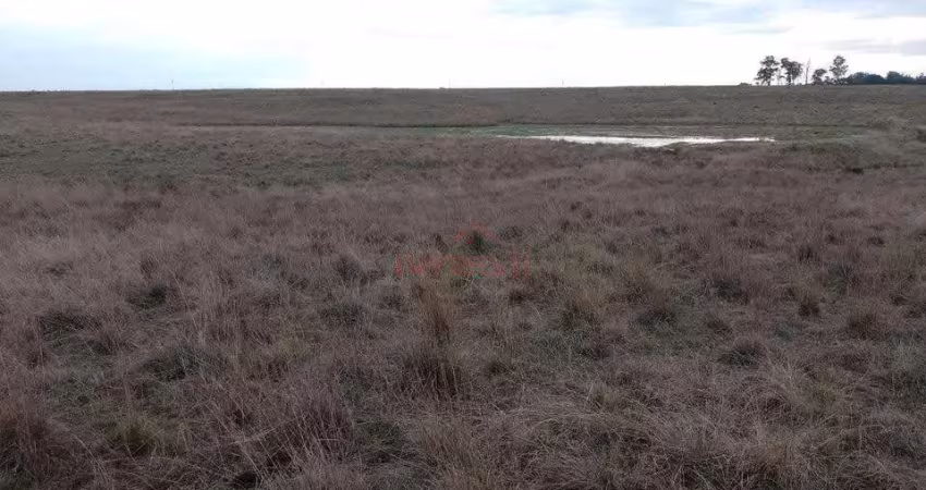 67 hectares de campo sem benfeitorias com boa aguada no plano alto em uruguaiana rs