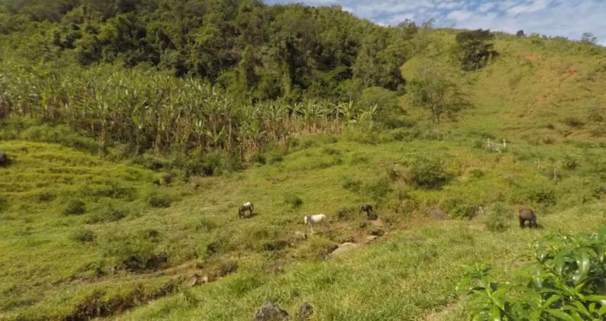 Fazenda à venda com 43 alqueires, iguape - guarapari es