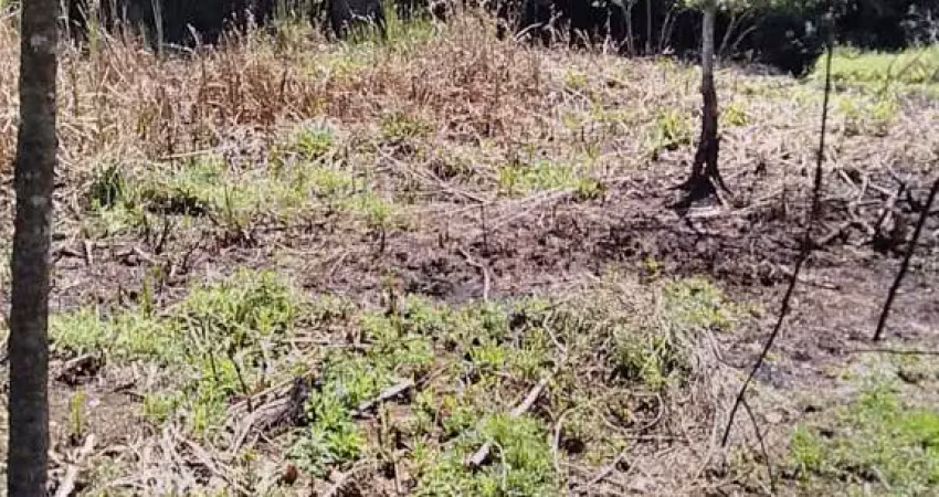Chácara / sítio à venda na Área Rural, Área Rural de Capão Bonito, Capão Bonito