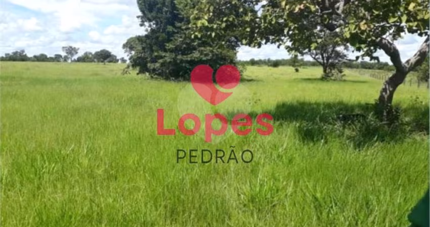 Sítio à venda em Zona Rural - SP