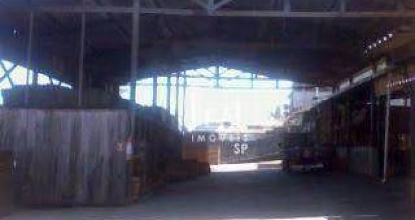 Terreno para alugar, 800 m² por R$ 6.500,00/mês - Vila Dinamarca - Guarulhos/SP