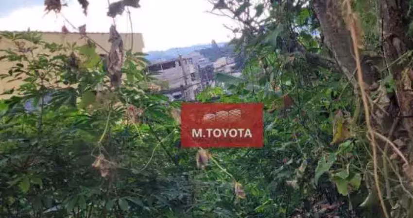Terreno à venda, 300 m² por r$ 95.000,00 - cardoso - mairiporã/sp