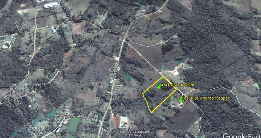 Chácara à venda, 45.106 m² por R$ 1.200.000 - Araçatuba - Campina Grande do Sul/PR