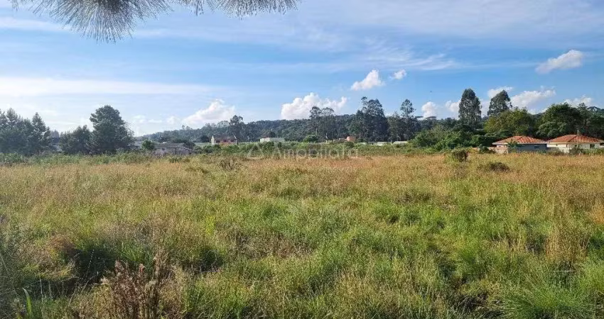 Terreno à venda na Rua Antonio Collere, Timbu, Campina Grande do Sul