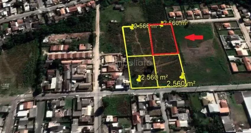 Terreno à venda na Rua Maria de Lourdes de Souza, Timbu, Campina Grande do Sul