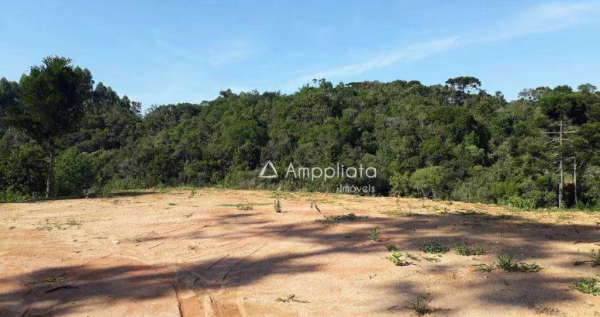 Chácara à venda, 3000 m² por R$ 140.000,00 - Capivari - Campina Grande do Sul/PR