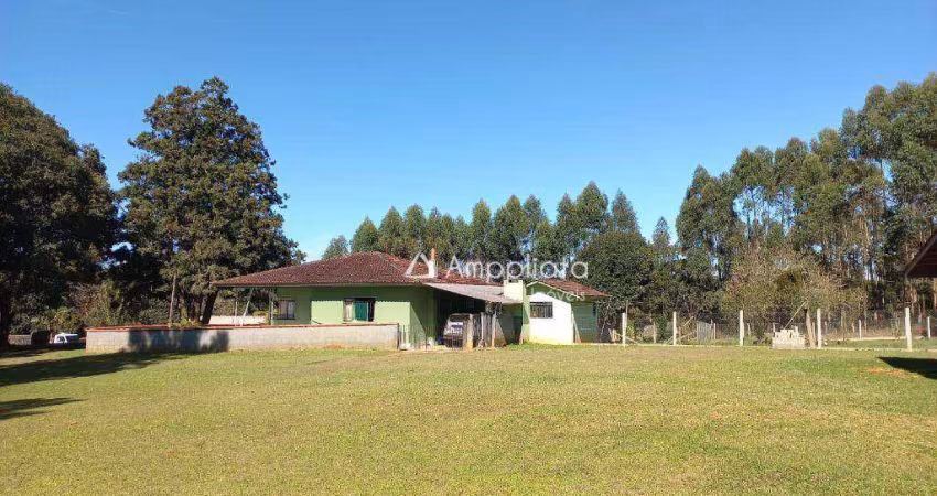 Chácara com 3 dormitórios à venda, 31590 m² por R$ 1.000.000,00 - Cerne - Campina Grande do Sul/PR