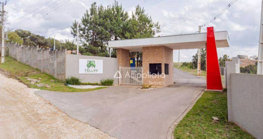 Terreno à venda, 280 m² por R$ 167.300,00 - Caraguata - Campina Grande do Sul/PR
