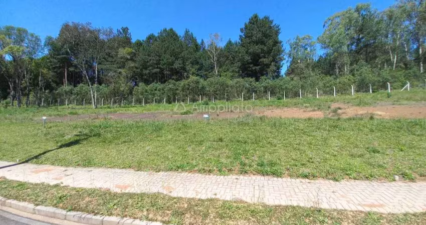Terreno à venda na Benedito Simioni, 176, Jardim Araçatuba, Campina Grande do Sul