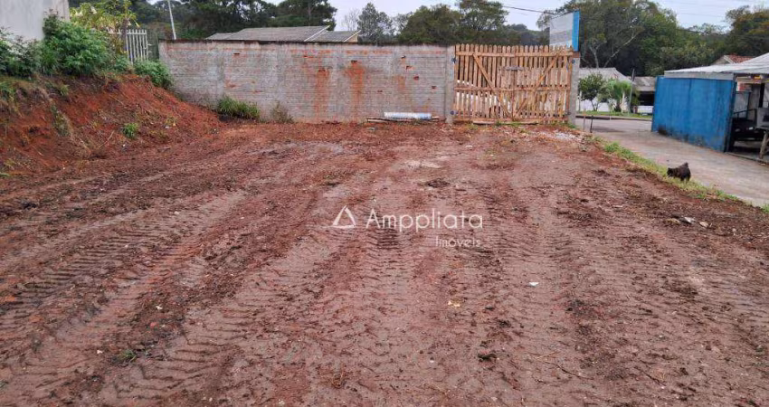 Terreno à venda, 575 m² por R$ 260.000,00 - Vila São Cosme - Campina Grande do Sul/PR