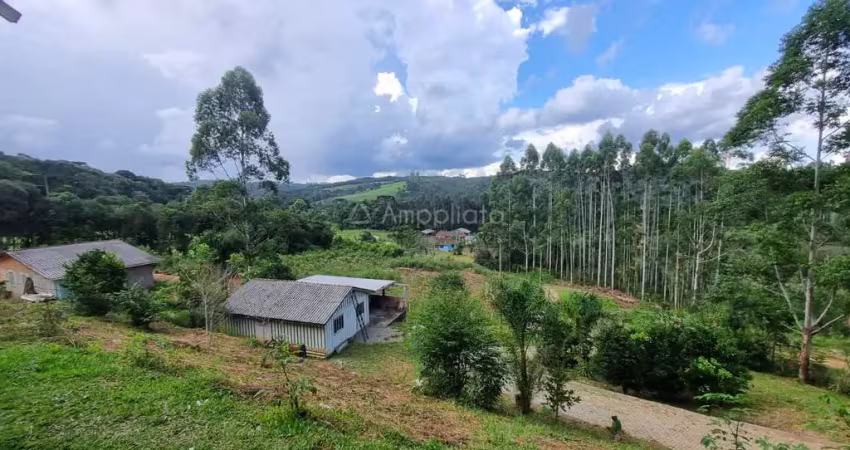 Chácara / sítio com 2 quartos à venda na Alexandre Maschio, 1080, Mandaçaia, Campina Grande do Sul
