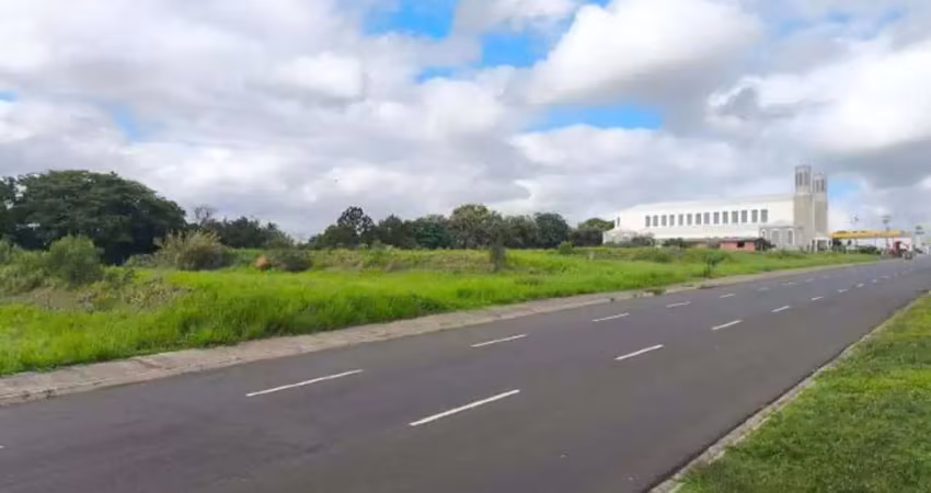 Terreno residencial à venda, parque campo bonito, indaiatuba