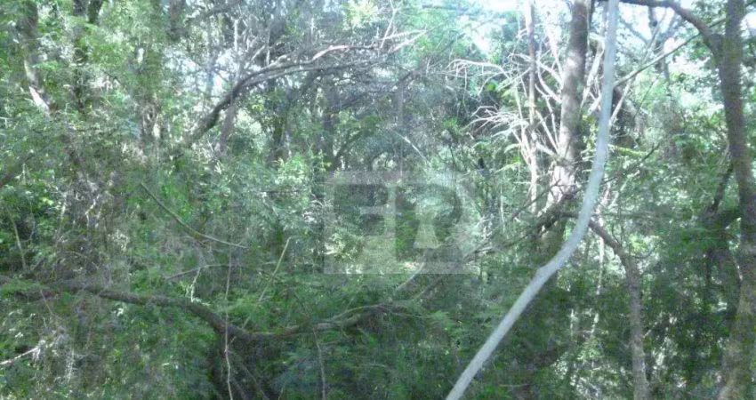 Terreno à venda, 5155 m² por r$ 288.000,00 - formosa - alvorada/rs