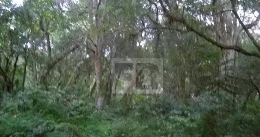 Terreno à venda, 300 m² por R$ 40.000,00 - Águas Claras - Viamão/RS