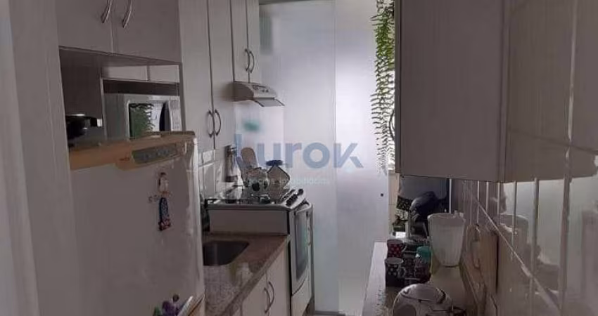 Apartamento à venda, Jardim Dom Vieira, Campinas, SP