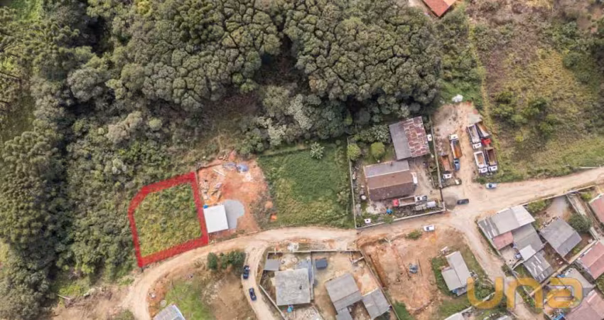 Terreno - r licio de barros teixeira, 252 - tranqueira - almirante tamandaré pr