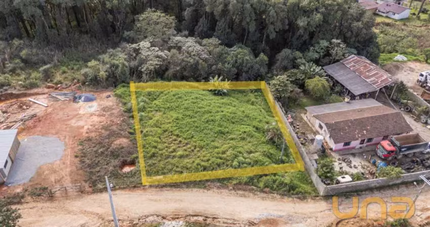 Terreno - r licio de barros teixeira, 204 - tranqueira - almirante tamandaré pr