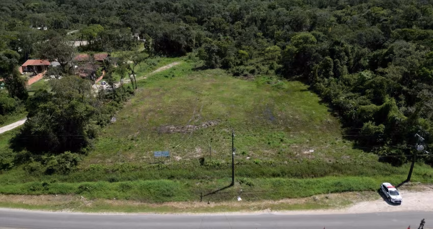Terreno Comercial Para Locação