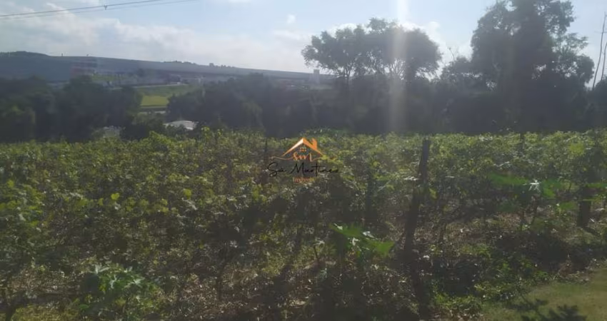 Chácara / sítio com 3 quartos à venda na RUA 1, SN, Estiva, Louveira