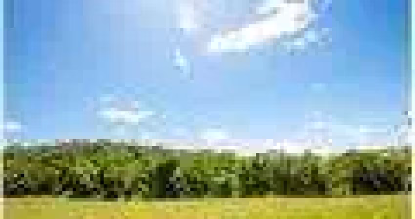 Imperdível terreno residencial para venda em módulo rural 43-centro, 20,000m²