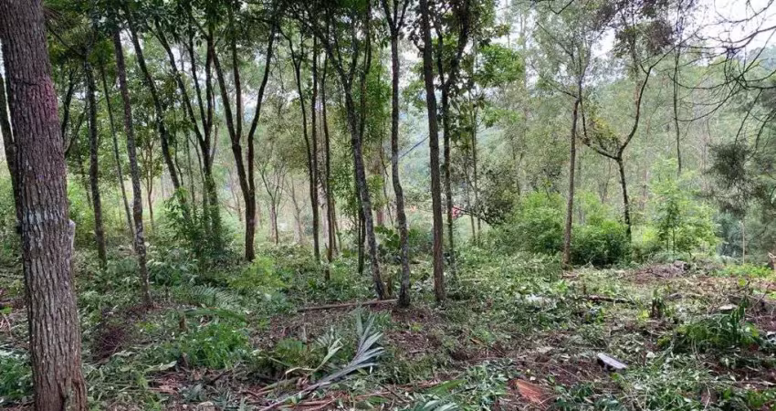 Terreno em condomínio fechado à venda no Rio Abaixo, Mairiporã 