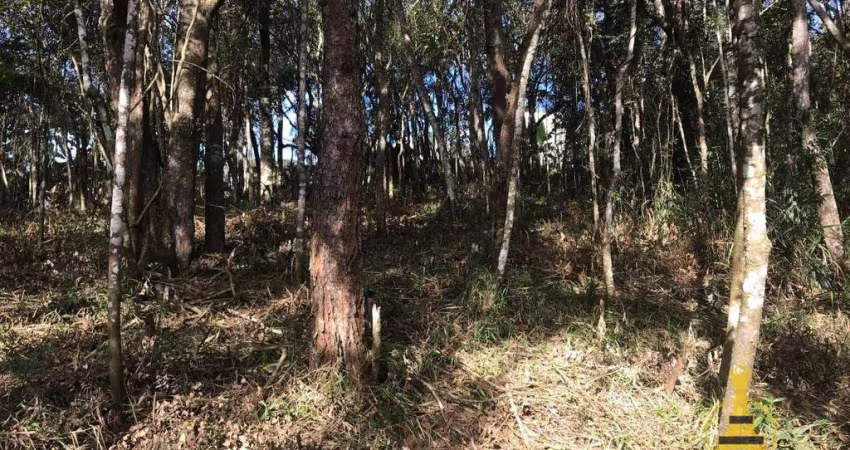 Terreno à venda, 1375 m² por R$ 220.000,00 - Pirucaia - Mairiporã/SP