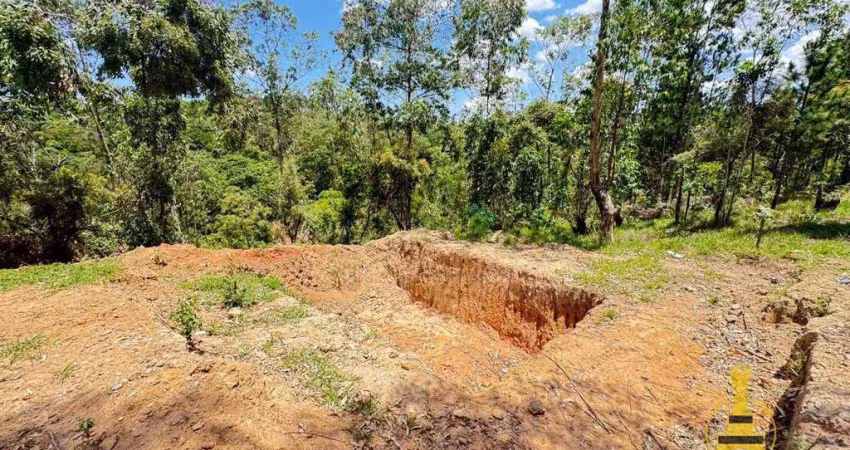 Terreno à venda, 330 m² por r$ 175.000,00 - terra preta - mairiporã/sp