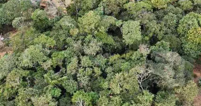 Terreno à venda, 700 m² por r$ 50.000 - bosque dos palmares - atibaia/sp