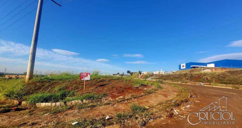 Terreno à venda, 353 m²  - Marumbi - Londrina/PR