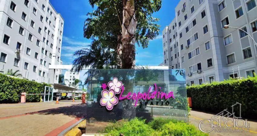 Apartamento com 2 dormitórios à venda, 44 m² por r$ 300.000,00 - gleba fazenda palhano - londrina/pr