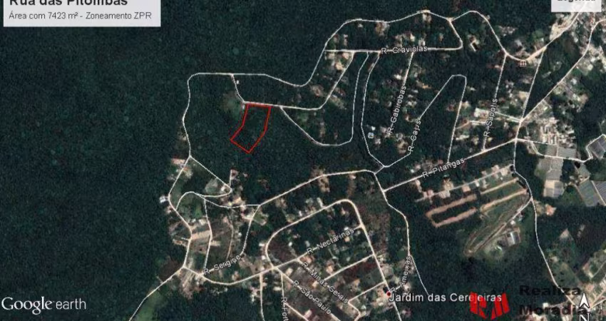 Terreno com 7430 m² para loteamento ou chácara! 3 matrículas