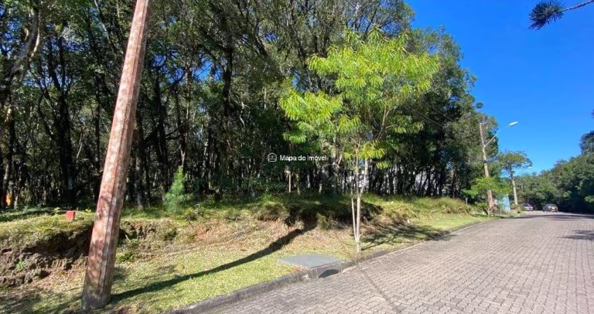 Terreno em condomínio fechado à venda na 01, 3, Parque Pinheiro Grosso, Canela