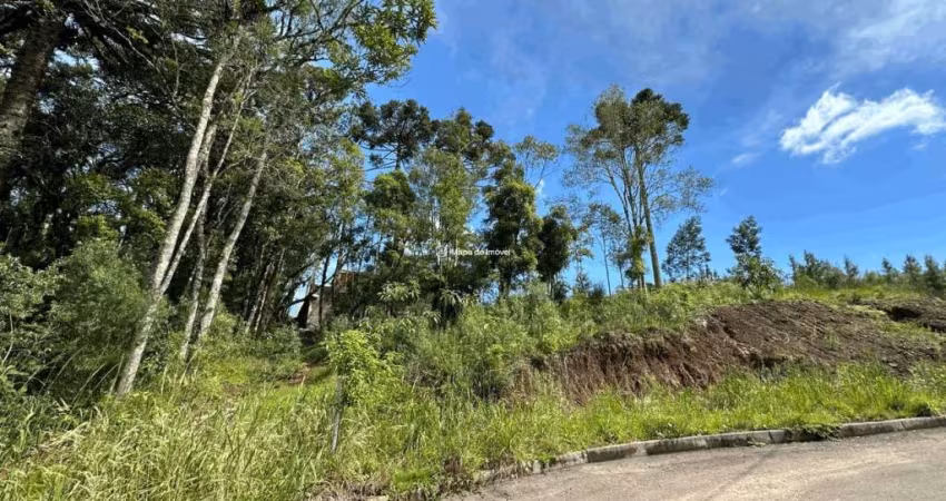 Terreno à venda na Waldi Kich, Dutra, Gramado