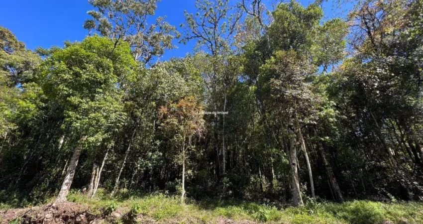 Terreno em condomínio fechado à venda na d, 6, Vila Nova de Gaia, Gramado