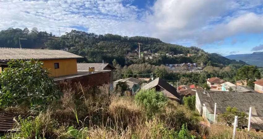 Terreno à venda na Otto Schmitt, Três Pinheiros, Gramado