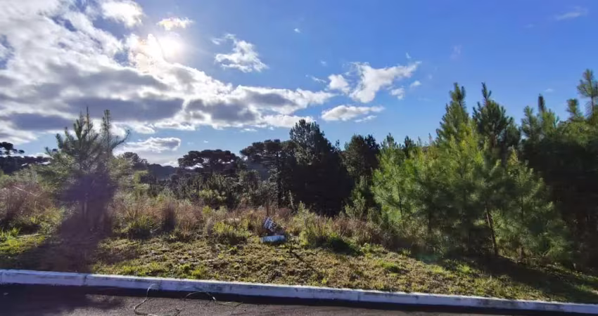 Terreno à venda na Rua B, Dutra, Gramado