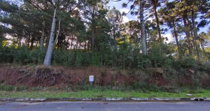 Terreno à venda na Rua G, Dutra, Gramado