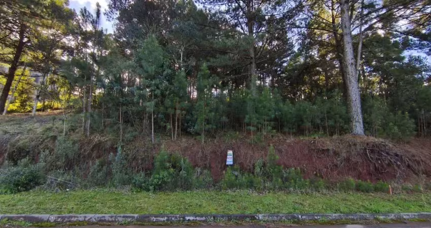 Terreno à venda na Rua G, Dutra, Gramado