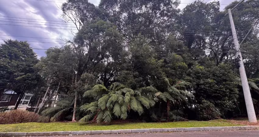 Terreno em condomínio fechado à venda na Laurindo Comiotto, 60, Lagos de Gramado, Gramado