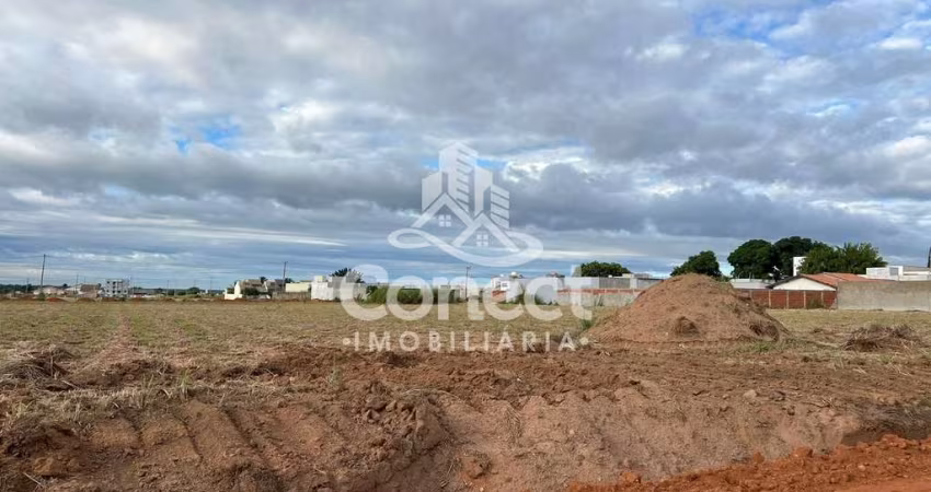 Lote no Jardim Paraiso Fase I  -  Luís Eduardo Magalhães