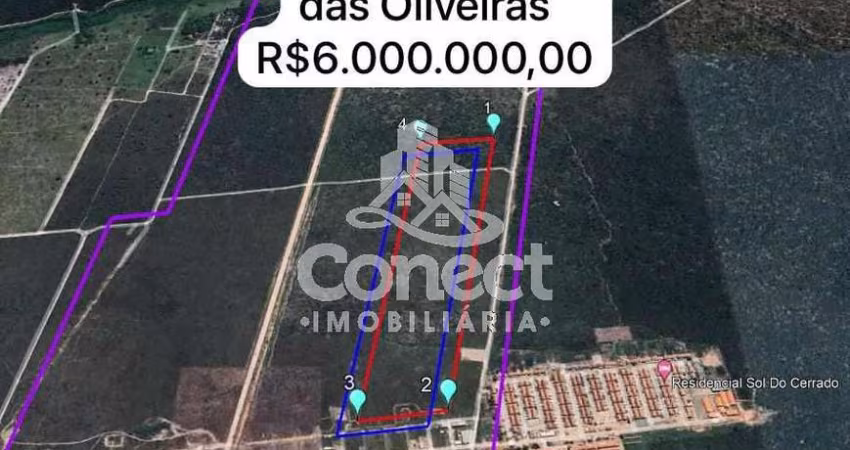 Chácara em Jardim das Oliveiras  -  Luís Eduardo Magalhães