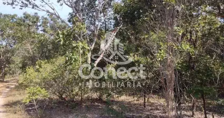 Fazenda à venda na Zona Rural, Correntina 
