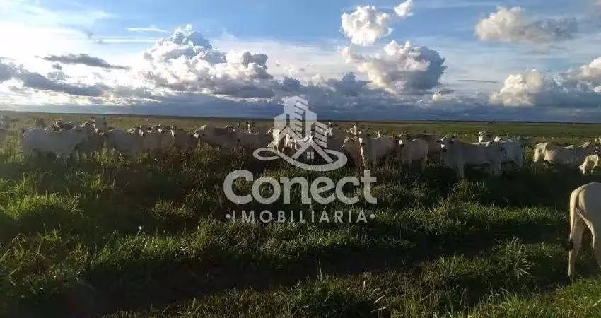 Fazenda à venda na Zona Rural, Baianópolis 