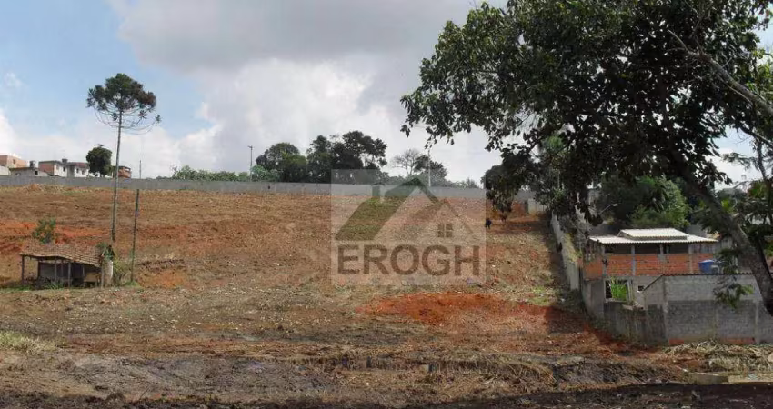 Terreno à venda, 39000 m² por r$ 10.650.000 - vila celeste - itaquaquecetuba/sp