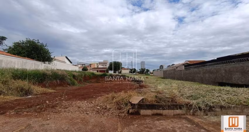 Terreno (terreno normal)