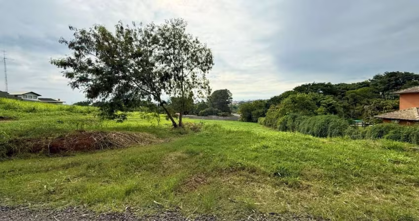 Terreno à venda, 5000 m² por R$ 970.000,00 - Recanto dos Pássaros - Indaiatuba/SP