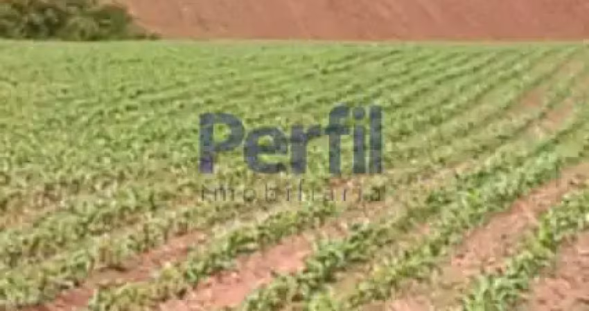 Chácara / sítio à venda no Centro, Soledade de Minas 