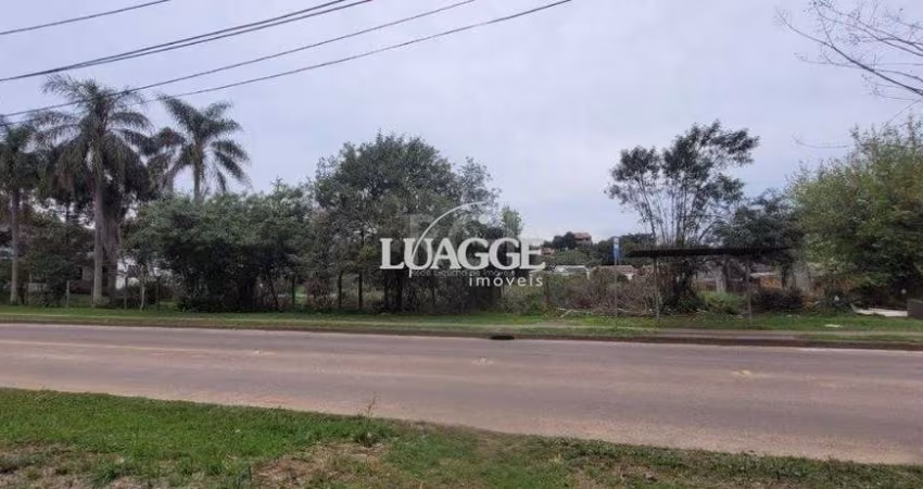 Terreno para Venda - 3.037m² no bairro Campo Novo