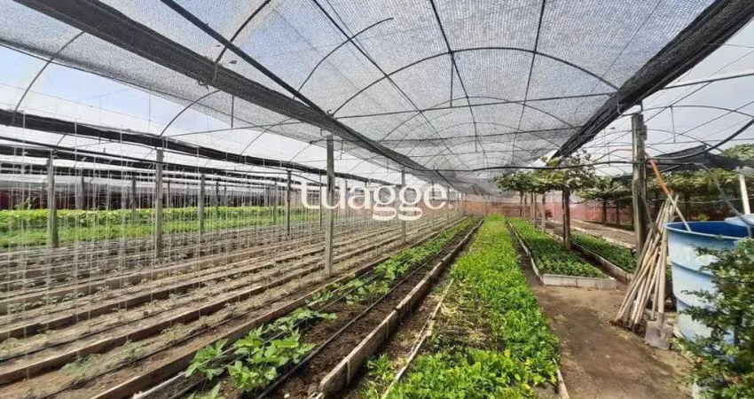 Sítio dentro de porto alegre 6.629,10 metros quadrados de área no bairro campo novo.