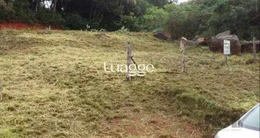 Terreno à venda na Estrada Jacques da Rosa, 964, Lageado, Porto Alegre